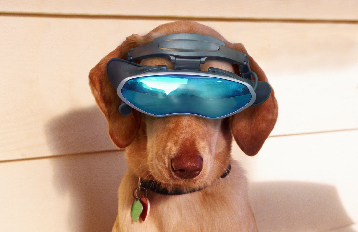 Pet Tech and Gadgets