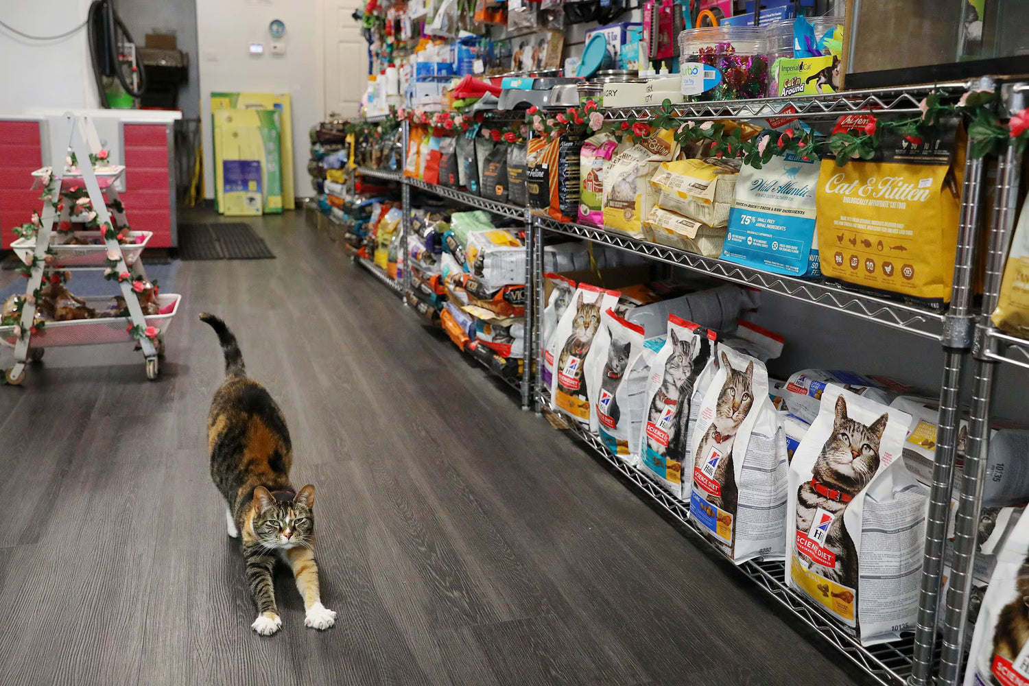 Pet Supplies