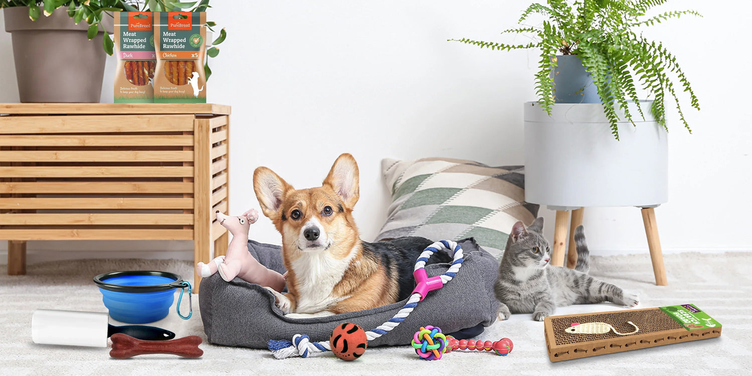 Pet Beds, Mats & More